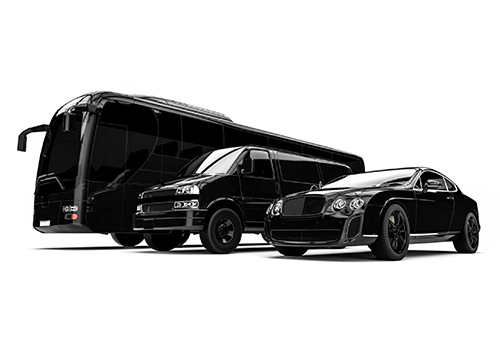 Party Bus Services Vs. Limousine: Which Is Right For You in Miami FL?
