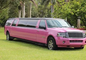 i love miami - Miami's Premier Pink Limo Rental Service